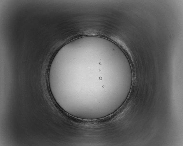 X0000088640529200705250921