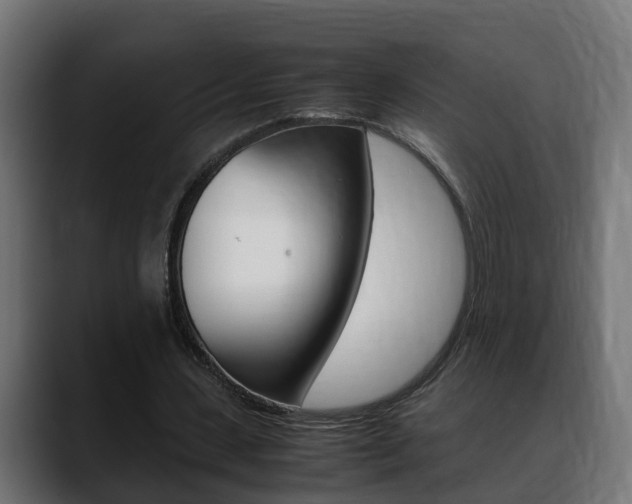 X0000088640531200705250921