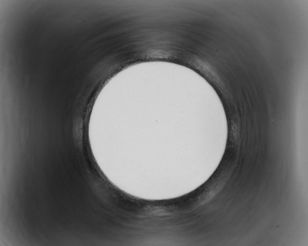 X0000088640534200705250921