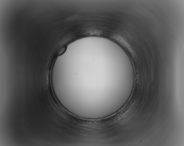 X0000088640537200705250921