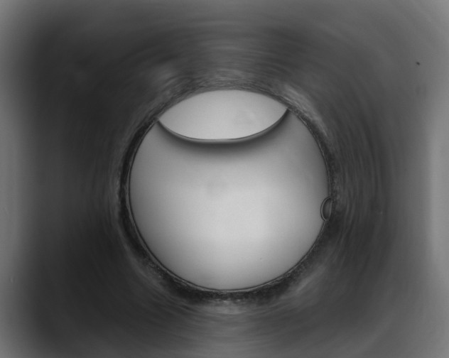 X0000088640538200705250921