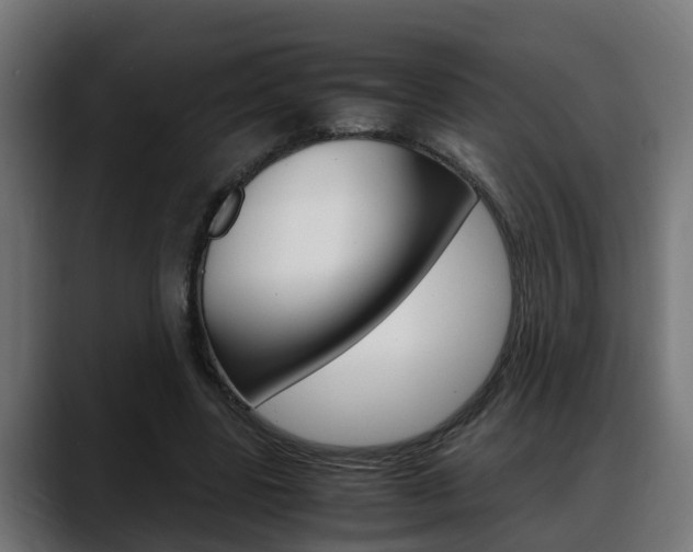 X0000088640539200705250921
