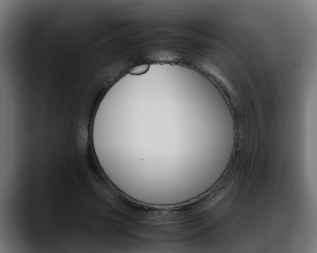 X0000088640541200705250921