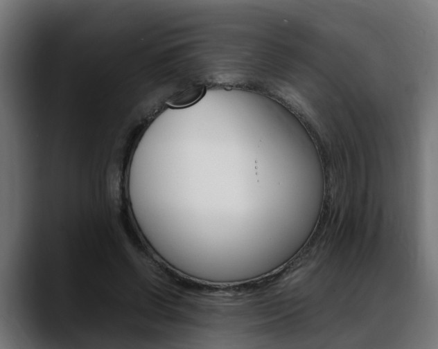 X0000088640542200705250921
