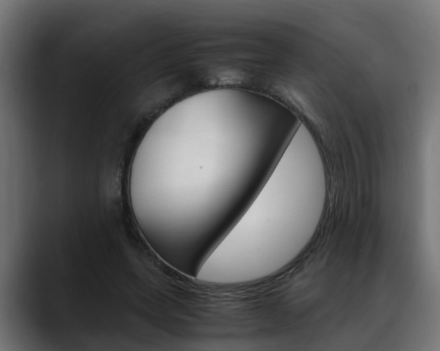 X0000088640543200705250921