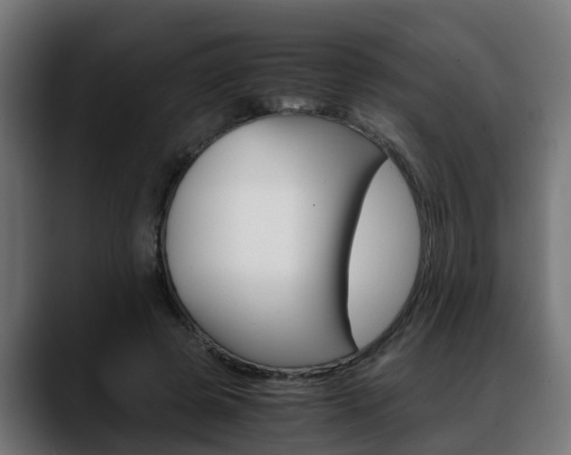 X0000088640545200705250921