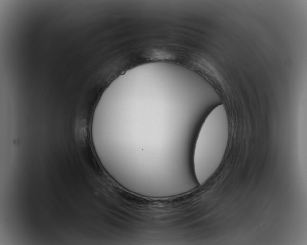 X0000088640549200705250921