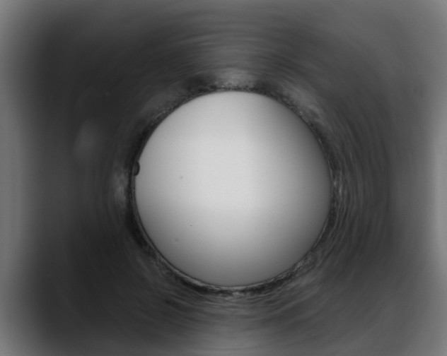 X0000088640550200705250921