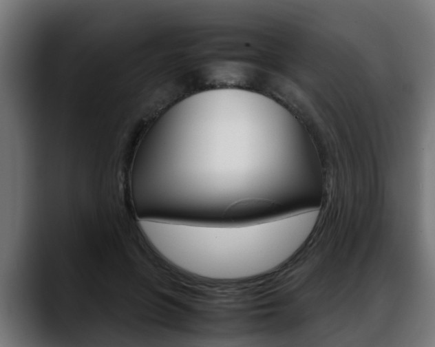 X0000088640551200705250921