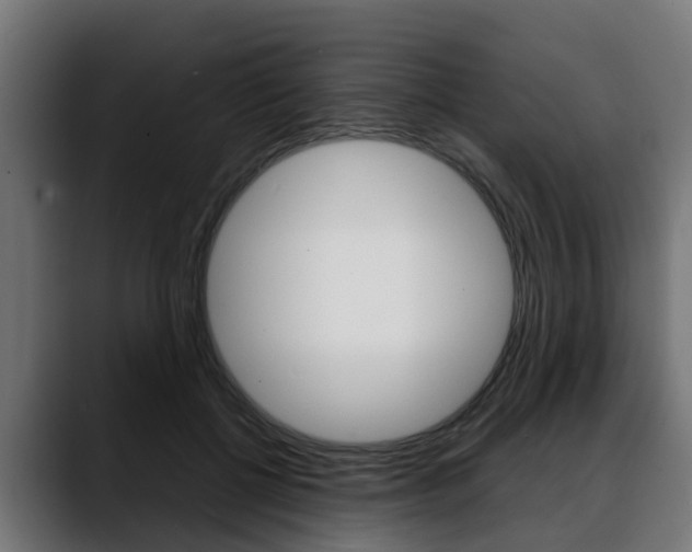 X0000088640552200705250921