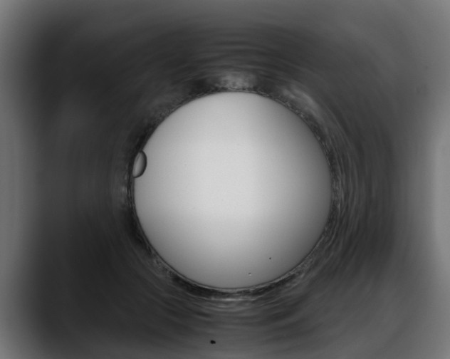X0000088640553200705250921