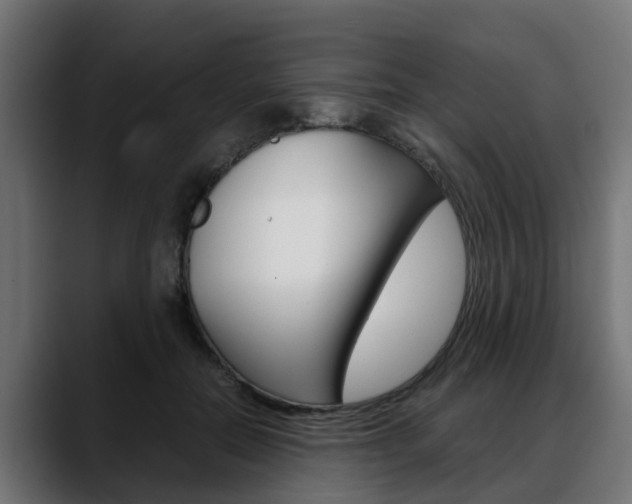 X0000088640554200705250921