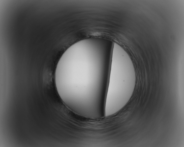X0000088640555200705250921