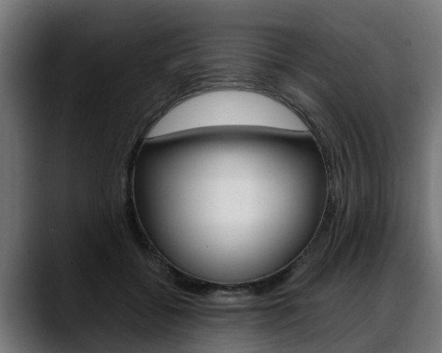 X0000088640556200705250921