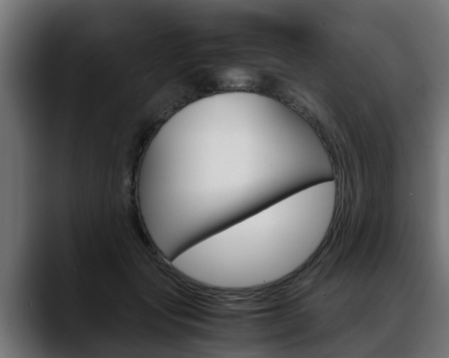 X0000088640557200705250921
