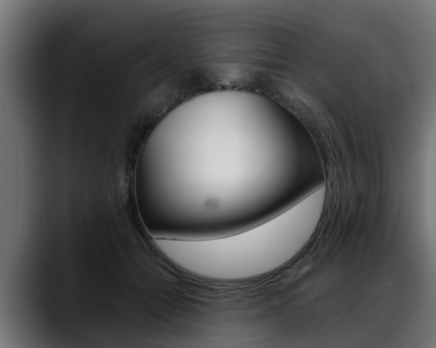 X0000088640558200705250921