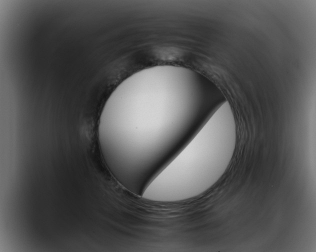 X0000088640559200705250921