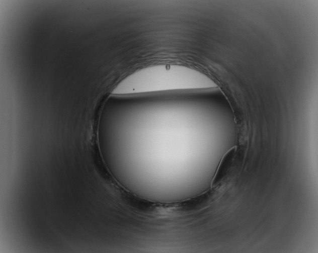 X0000088640560200705250921