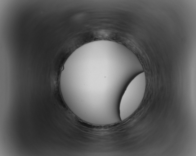 X0000088640561200705250921