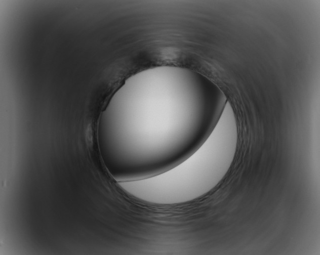 X0000088640562200705250921