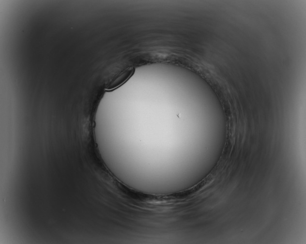 X0000088640563200705250921