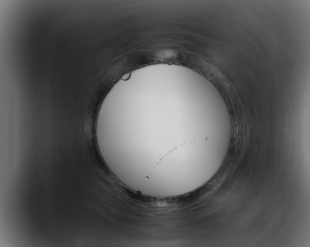 X0000088640565200705250921