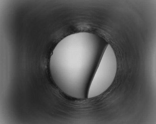 X0000088640567200705250921