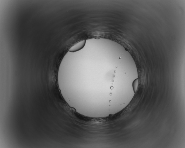 X0000088640569200705250921