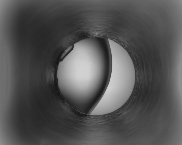 X0000088640570200705250921