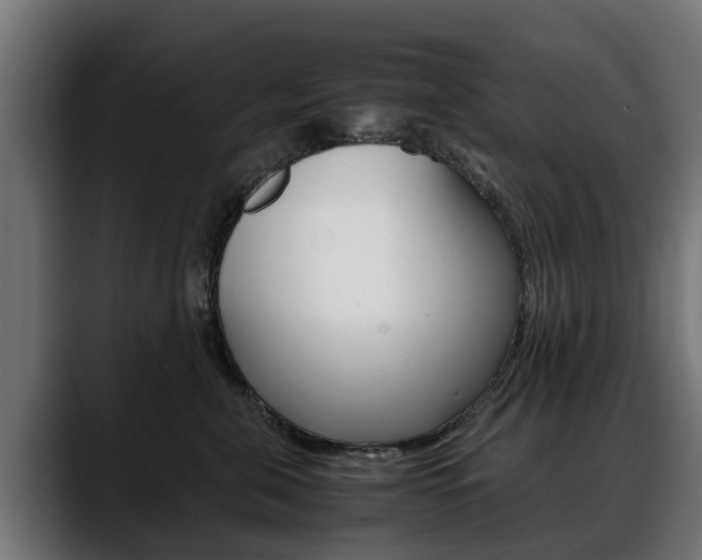 X0000088640571200705250921