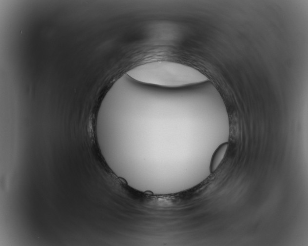 X0000088640573200705250921