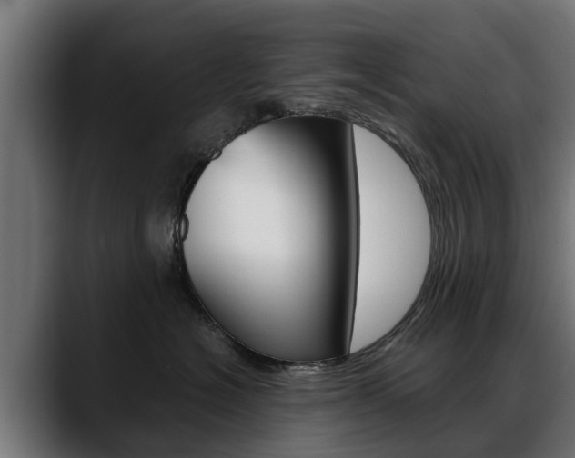 X0000088640574200705250921