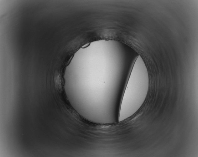 X0000088640575200705250921