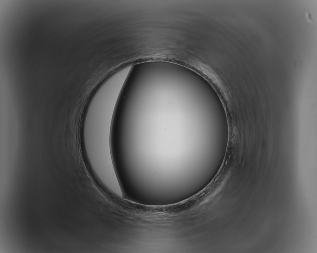 X0000088640577200705250921