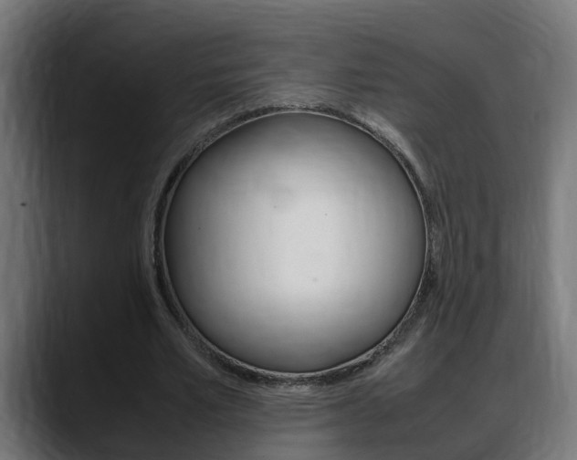 X0000088640581200705250921