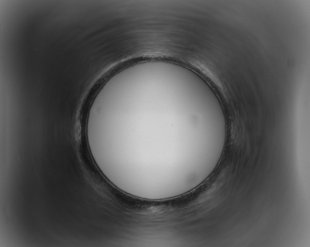 X0000088640584200705250921