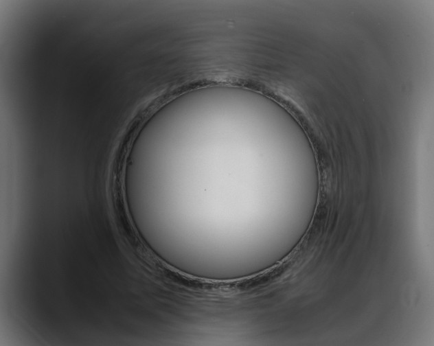 X0000088640587200705250920