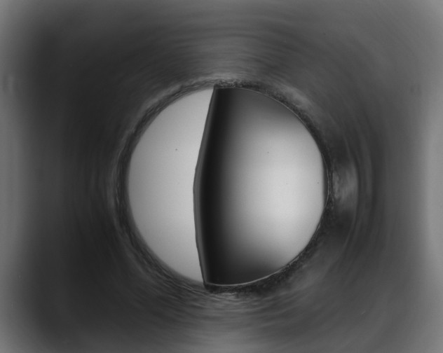 X0000088640588200705250920