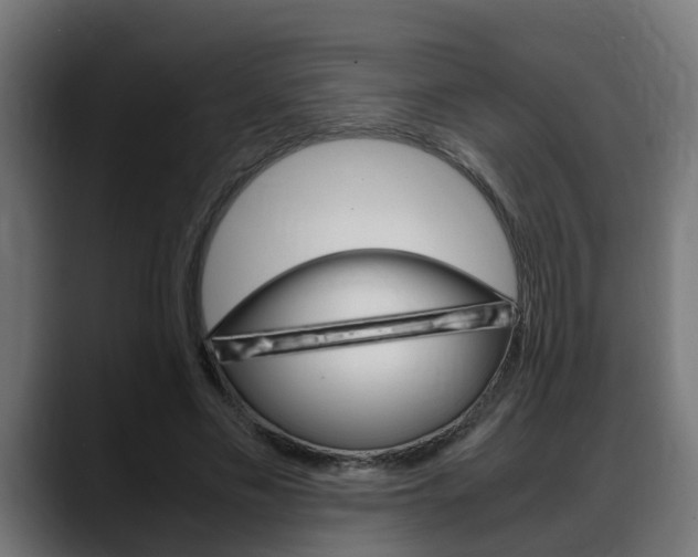 X0000088640589200705250920