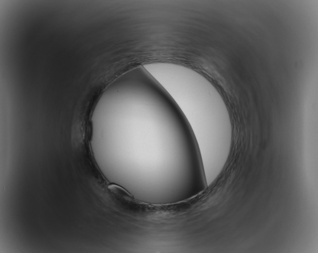 X0000088640593200705250920