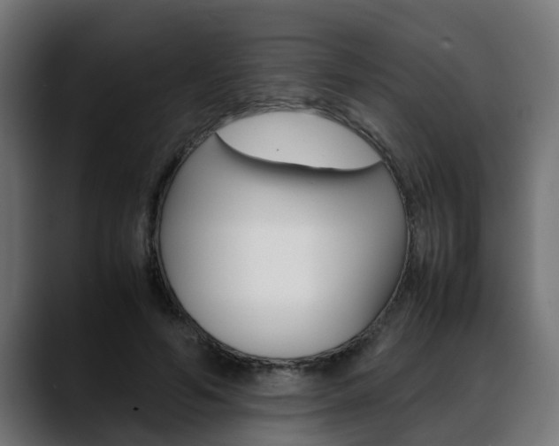 X0000088640594200705250920