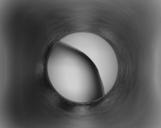 X0000088640595200705250920