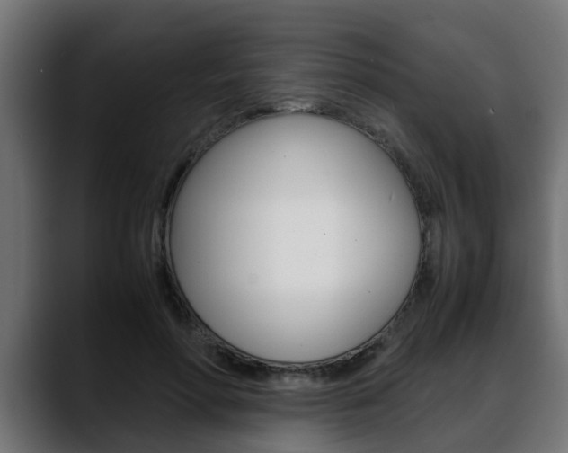 X0000088640598200705250920