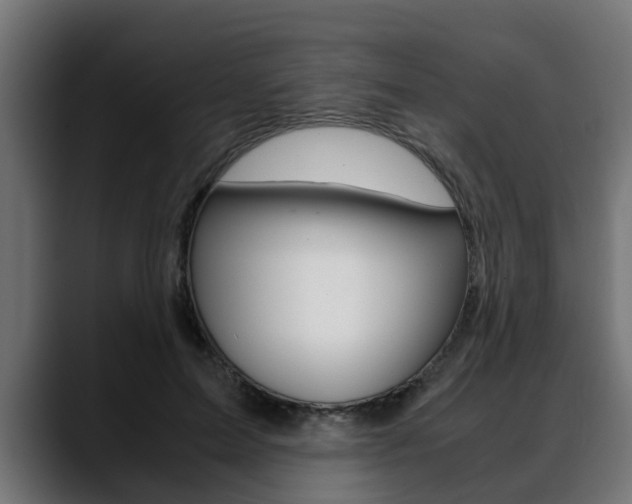 X0000088640599200705250920