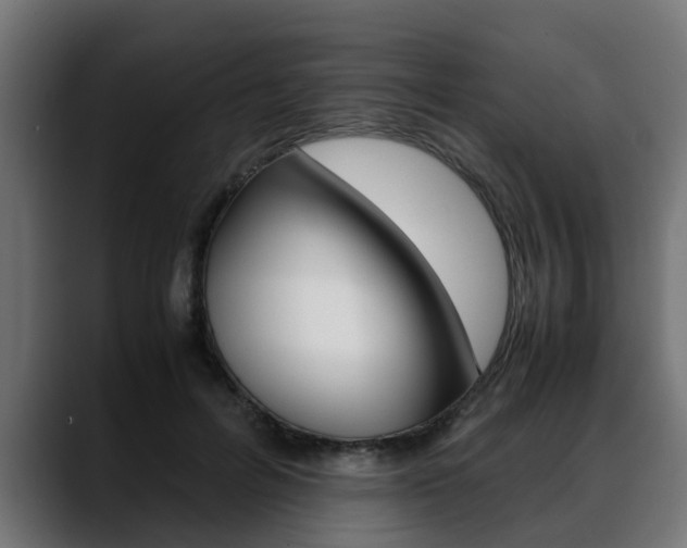X0000088640600200705250920