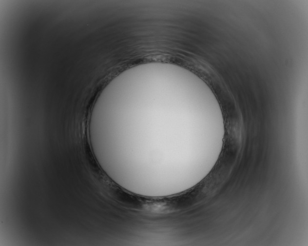 X0000088640602200705250920