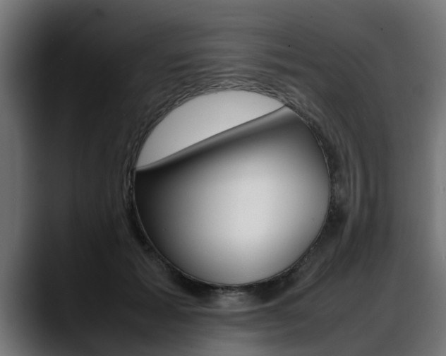 X0000088640605200705250920