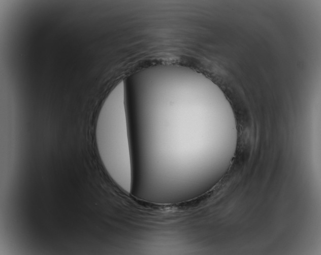 X0000088640609200705250920