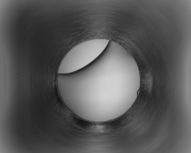X0000088640610200705250920