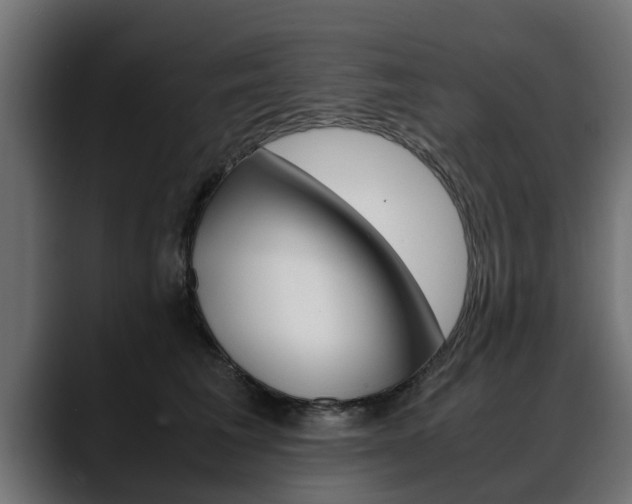 X0000088640613200705250920